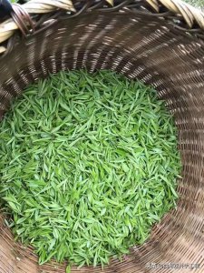 ​美狮红酒价格(澳利狮红酒价格)