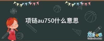​au是什么意思网络用语(au是什么意思化学元素)
