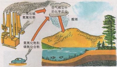 ​酸雨的成分有哪些(酸雨的成分是什么)