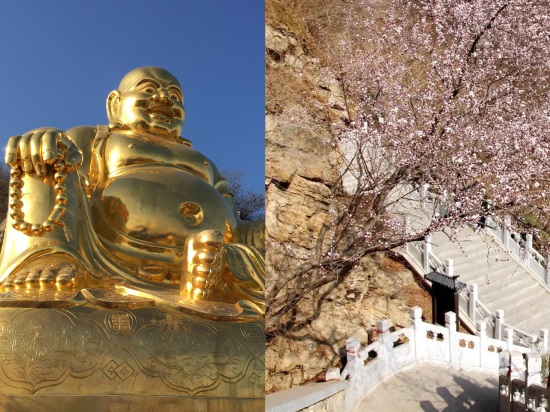 北京周边踏青好去处(一日游必备)（北京清明节踏青好去处）