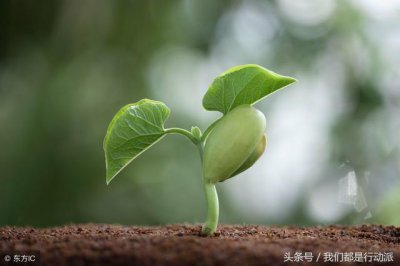 ​重金属具体有哪些（我们常说的重金属）