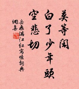 ​莫等闲白了少年头空悲切意思（满江红写怀的原文及译文）