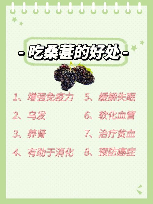 桑葚不宜人群（4类人群不宜吃桑葚）