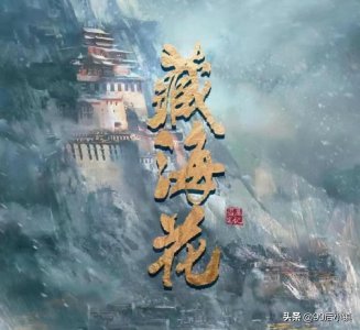 ​盗墓笔记藏海花讲了一个什么故事（藏海花讲的是什么故事）