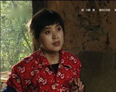 ​篱笆女人和狗哪一年拍的