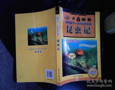 ​昆虫记迷宫蛛外形特征