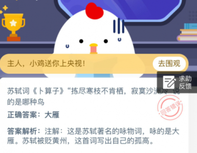​寂寞沙洲冷说的是哪种鸟（苏轼词卜算子拣尽寒枝不肯栖）