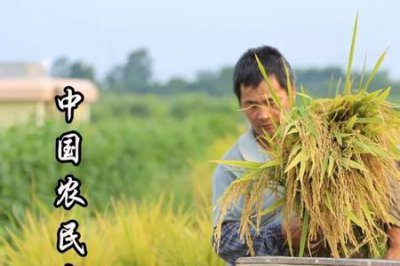 ​形容农民富裕的词语