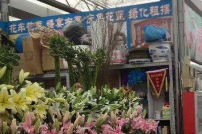 ​鲅鱼圈宠物市场在哪