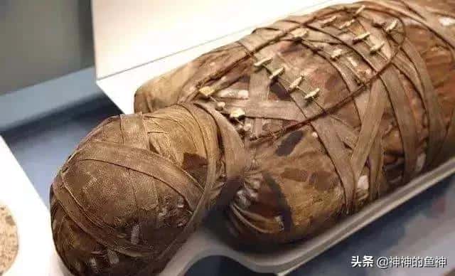 古埃及恐怖吗（古埃及有多恐怖）