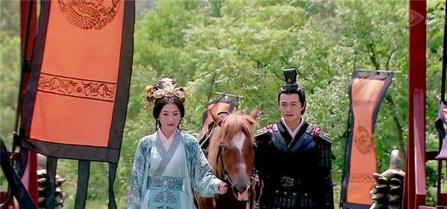 卫青为什么娶平阳公主（卫青为什么被灭九族）