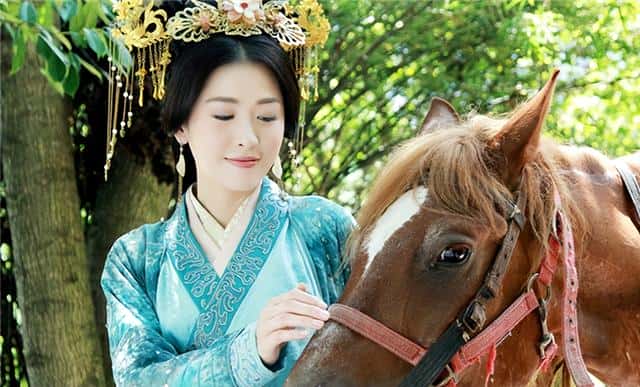 卫青为什么娶平阳公主（卫青为什么被灭九族）
