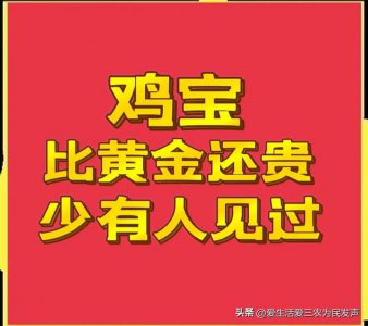 ​鸡宝为什么那么值钱（鸡宝到底值不值钱）