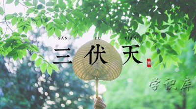 ​入伏2023时间表，2023三伏天时间表