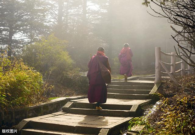 徒步爬峨眉山的感受（从海拔3099米的峨眉山徒步下山）(3)
