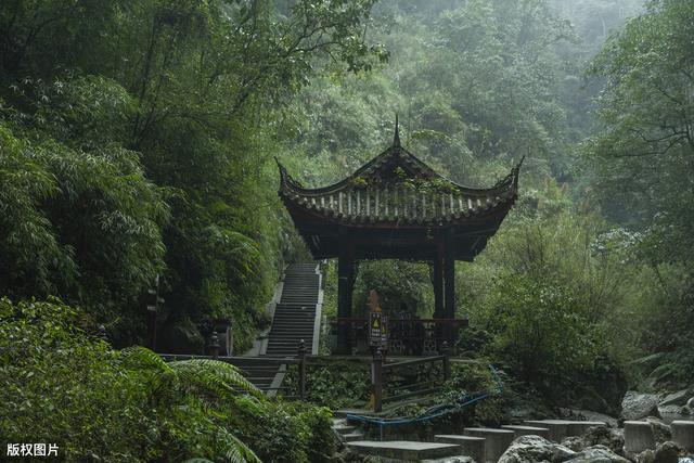 徒步爬峨眉山的感受（从海拔3099米的峨眉山徒步下山）(7)