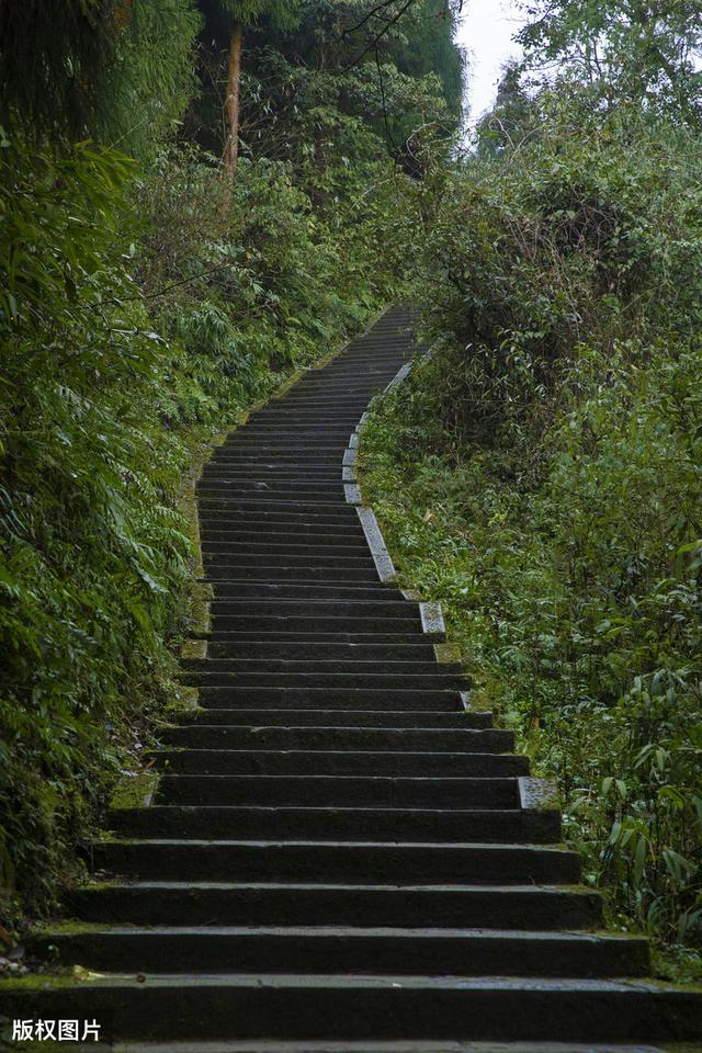 徒步爬峨眉山的感受（从海拔3099米的峨眉山徒步下山）(11)