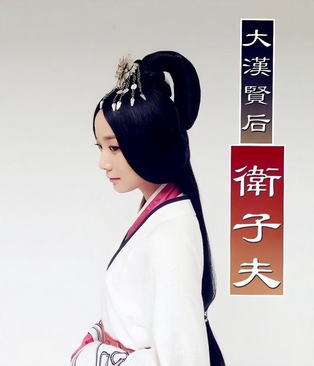 卫子夫连续剧（金屋藏娇的终结者）(10)