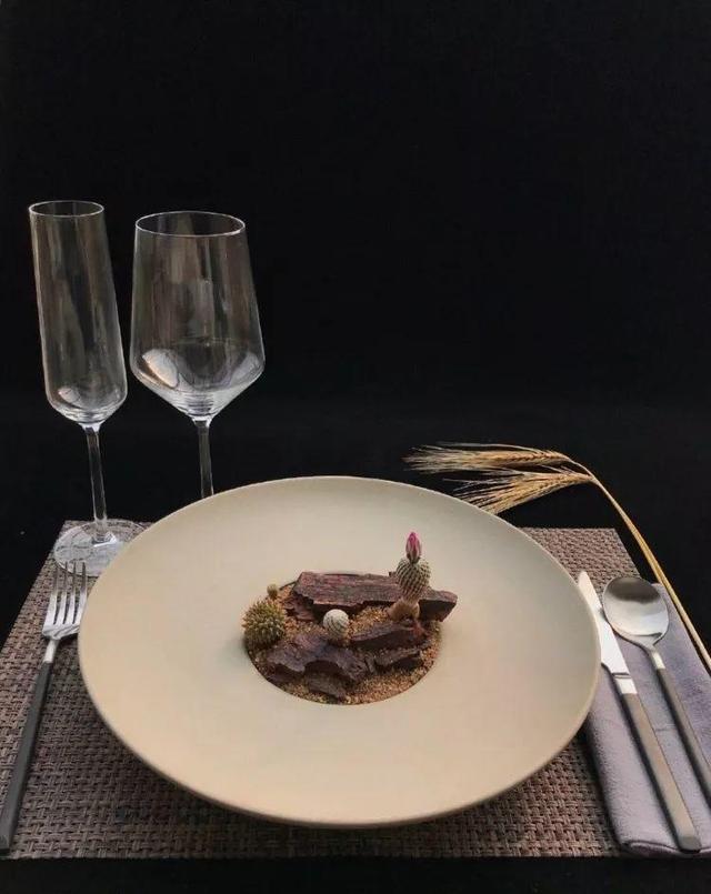 多肉拼盘做法大全（多肉拼盘的最高境界）(22)