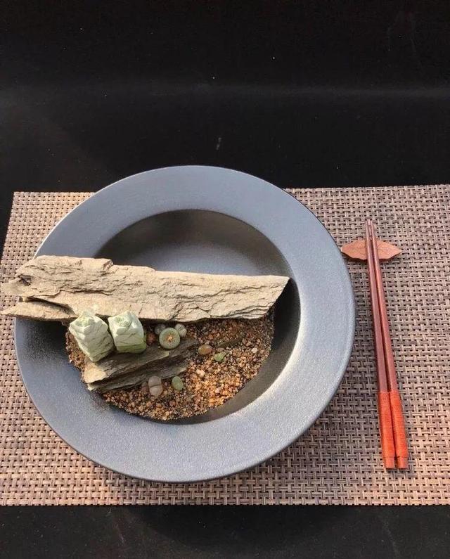 多肉拼盘做法大全（多肉拼盘的最高境界）(14)