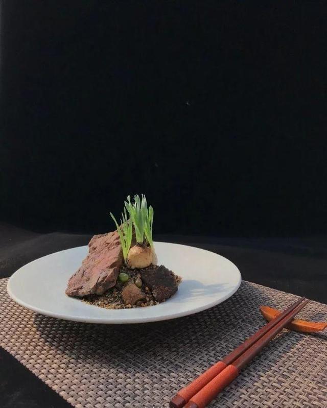 多肉拼盘做法大全（多肉拼盘的最高境界）(12)