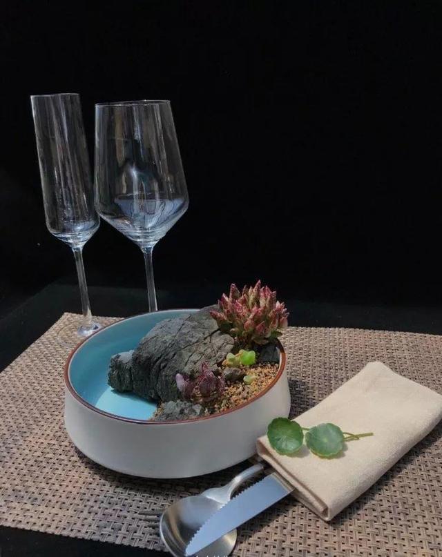 多肉拼盘做法大全（多肉拼盘的最高境界）(29)