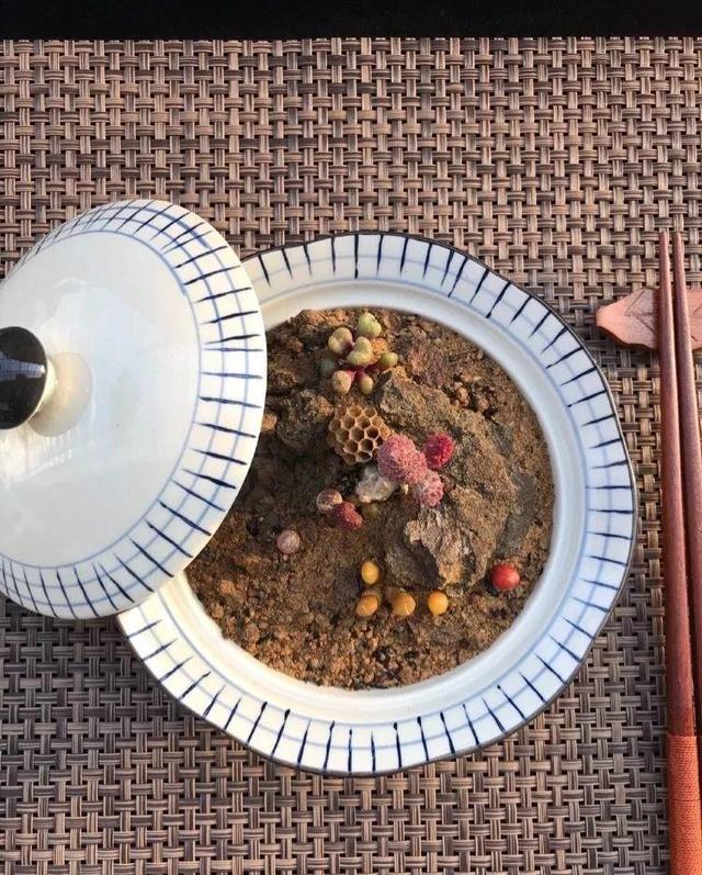多肉拼盘做法大全（多肉拼盘的最高境界）(25)