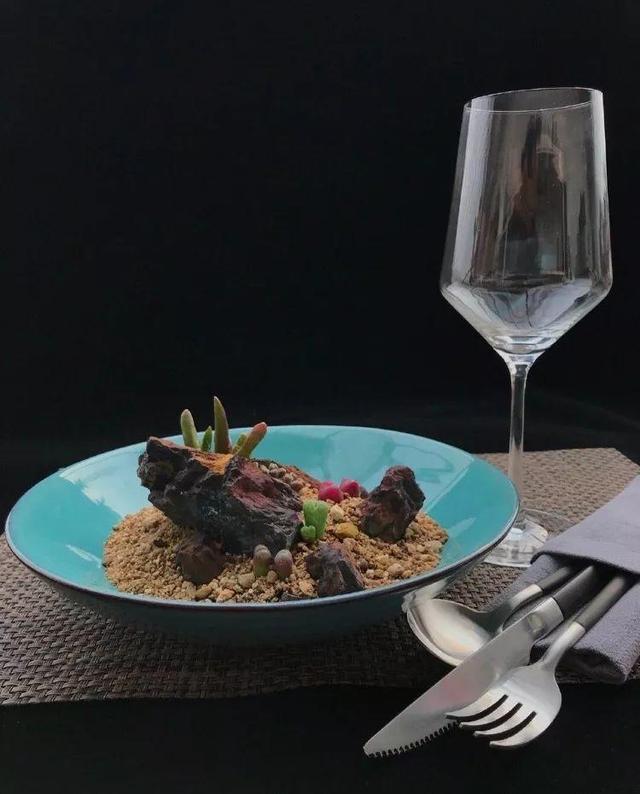 多肉拼盘做法大全（多肉拼盘的最高境界）(19)