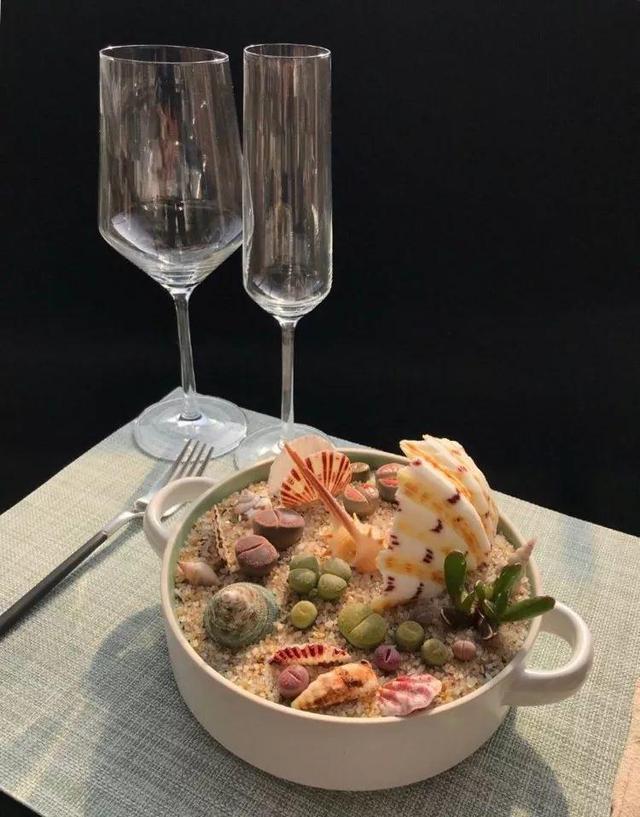 多肉拼盘做法大全（多肉拼盘的最高境界）(17)