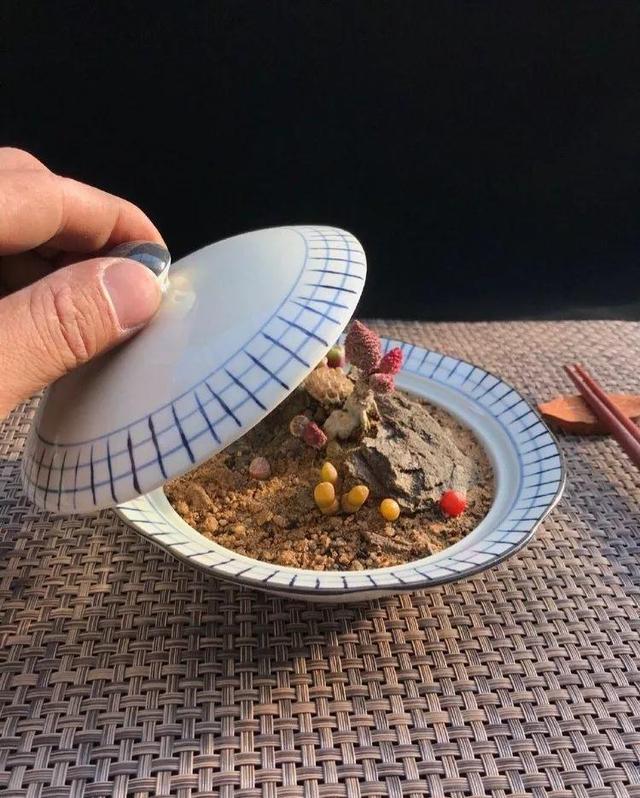 多肉拼盘做法大全（多肉拼盘的最高境界）(24)