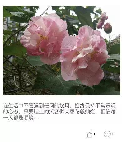 老人交友平台有哪些（在中老年人交友社交平台转了一圈后）(11)