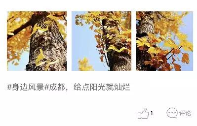 老人交友平台有哪些（在中老年人交友社交平台转了一圈后）(10)