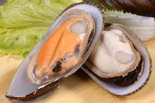 青口贝如何清洗内脏图解（青口贝如何清洗）