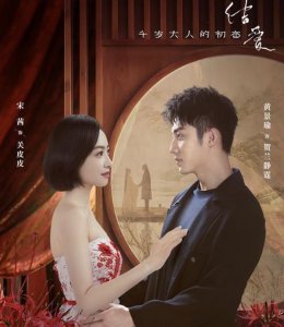 ​结爱千岁大人的初恋小说（车祸、离婚、背叛皮皮的初恋男友）