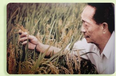 ​饱食者当忆袁公下一句