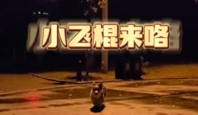 ​小飞棍来喽是什么梗 详解：这句话出自哪个地方