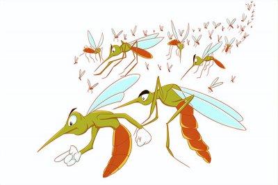 ​物理驱蚊子有效的方法(驱蚊子方法小妙招)
