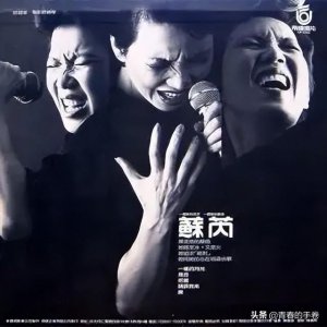 ​苏芮经典专辑有哪些(苏芮专辑列表)