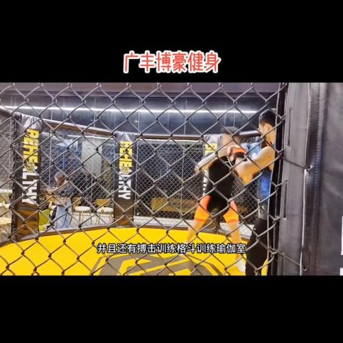 健身俱乐部策划书5000字(健身俱乐部策划书概要)-第2张图片-
