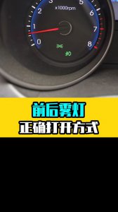​机动车雾灯标志(机动车仪表上雾灯亮表示什么)
