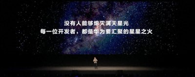 ​华为花瓣软件也“出海”：何时有中文版花瓣搜索和花瓣地图？