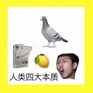 ​如何正确理解人类的四大本质？