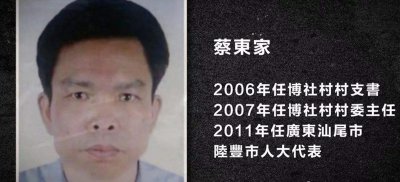 ​村支书带领全村制毒，国家出动三千警力，奇袭广东第一毒村