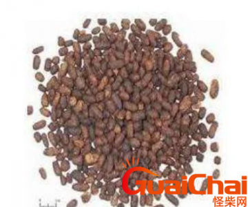​老鼠屎是什么样子？老鼠屎有毒吗？