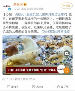 ​身陷多重困境，北极熊或将于2100年灭绝