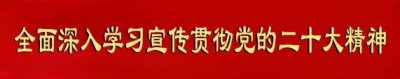 ​新春走基层筋斗鸽上演“空中芭蕾”