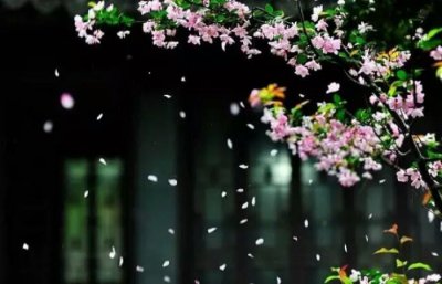 ​李商隐《落花》赏析