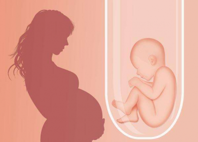 ​什么时候最容易受孕率最高（春季好孕锦囊：什么时候女性受孕率最高？记牢这几
