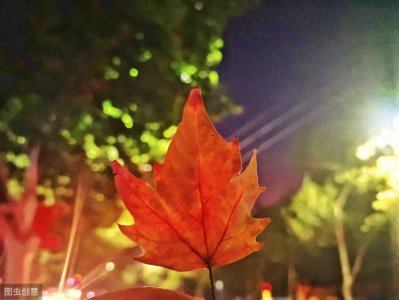 ​「英语语法」5种直接引语变间接引语的变化规则，3分钟学会