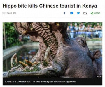​在肯尼亚河马袭击事件中1死1伤的中国游客来自台湾